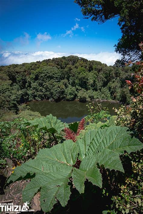 Main crater at Barva Volcano National Park