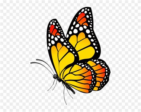 Download hd Butterfly Clip Art, Butterfly Drawing, Butterfly Painting, - Butterfly Images Hd Png ...