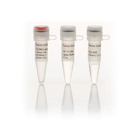 Thermo Scientific T4 DNA Ligase (5 U/ L):Enzymes and Inhibitors:Modifying | Fisher Scientific