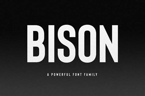 30+ Best Sans Serif Fonts to Download