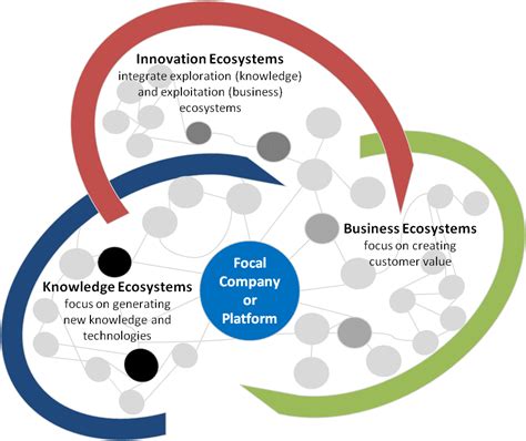 Organisation Ecosystem: The Theory and the Practice | Sergio Caredda