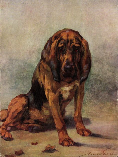 1930's Antique BLOODHOUND Dog Art Print Vintage Maud Earl Bloodhound Illustration Dog Art Print ...