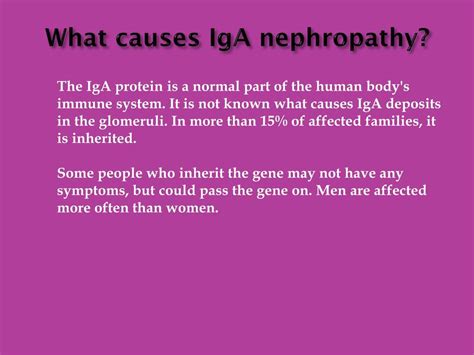 PPT - IgA Nephropathy: Causes, Symptoms, Daignosis, Prevention and ...