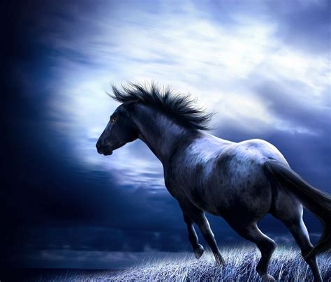 Free Horse Screensavers And Wallpaper - WallpaperSafari