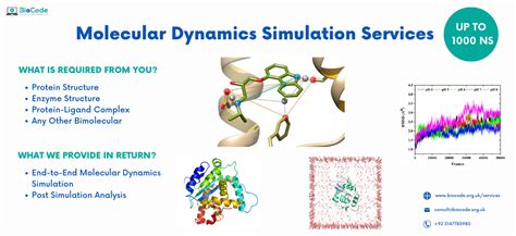 Molecular Dynamics Simulation Services for Website - BioCode