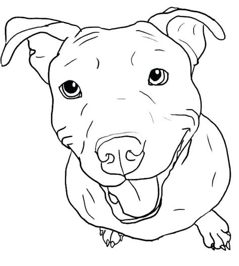 Pitbull Coloring Pages - Best Coloring Pages For Kids | Dog coloring ...