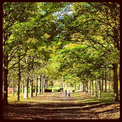 Cassiobury Park.... take a trip here when we head down to Watford ...