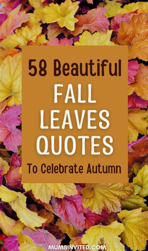 58 Fall Leaves Quotes Embracing Autumn's Majestic Palette - Mums Invited