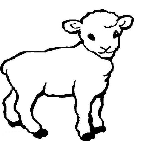 Lamb Drawing Images at GetDrawings | Free download