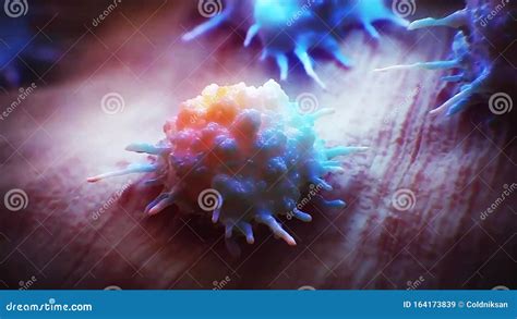 Fat Cells Under the Microscope Stock Image - Image of receptor ...