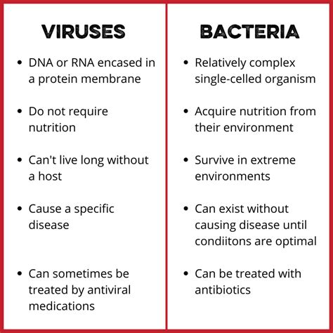 Viruses and Bacteria in Poultry- What's the Difference? – Southland ...