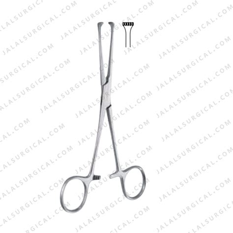 Allis Tissue Forceps Premium Quality - Jalal Surgical