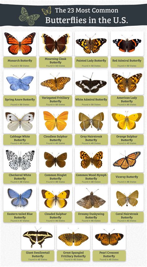 Where To Find Butterflies In The United States — Parks & Rec Business (PRB)