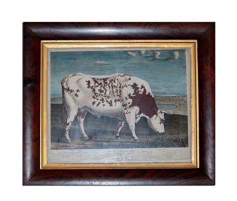 Vintage Painting Of Bull Free Stock Photo - Public Domain Pictures