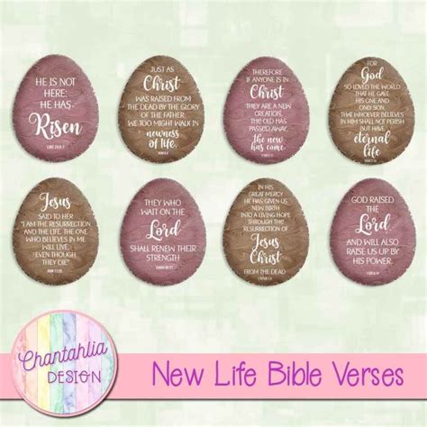 New Life Bible Verses