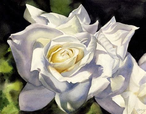 White Rose Watercolor Painting by Alfred Ng