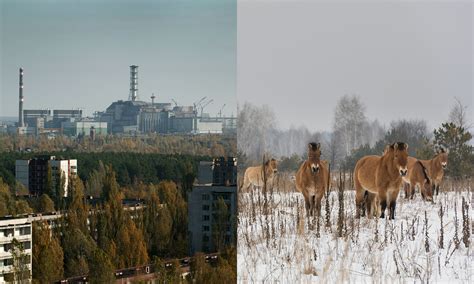 Chernobyl Disaster Explosion Before And After