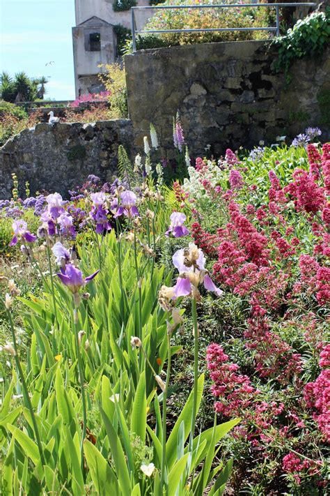 Garden Visit: The Gardens of Alcatraz - Gardenista