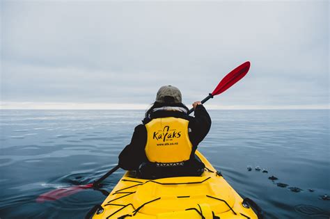 Abel Tasman Kayaking, New Zealand — Jelly Journeys