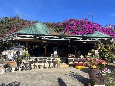 Dalat coffee: An exquisite aroma from the Central Highlands