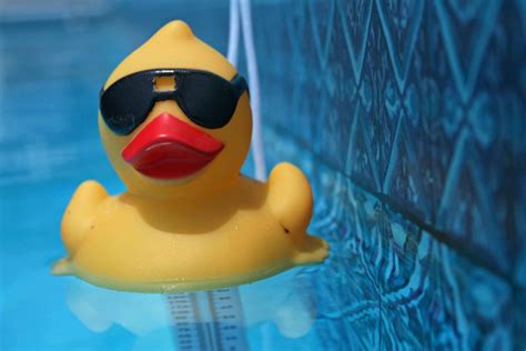 Rubber Duck Debugging: The Psychology of How it Works