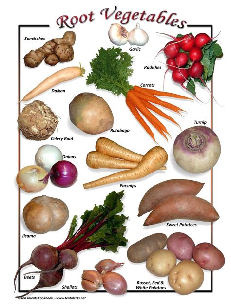 Root Vegetables List