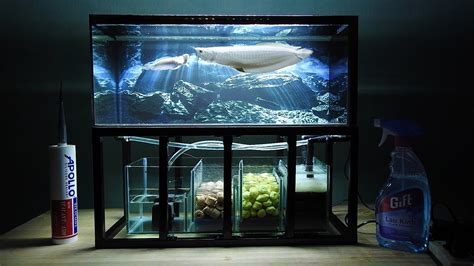 55 New Arowana aquarium design with Simple Decor | Home Design Ideas