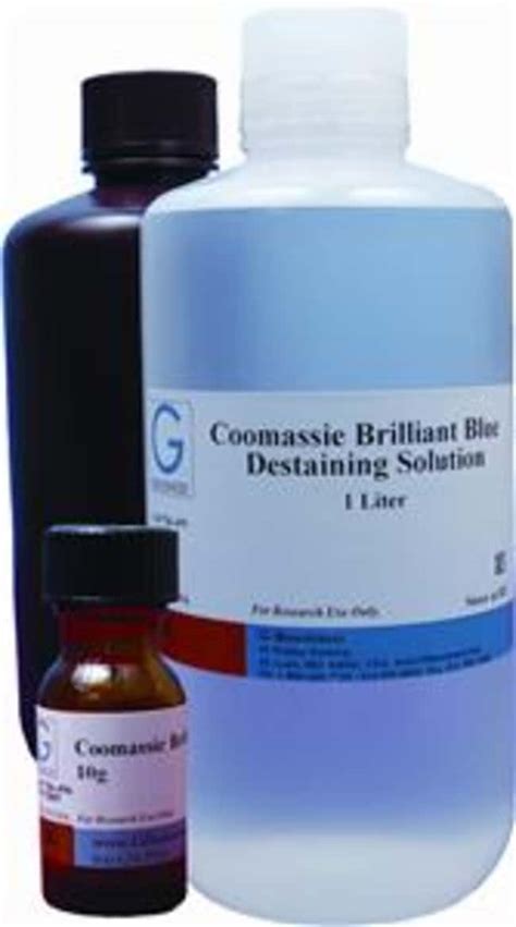 G-Biosciences COOMASSIE BRILLIANT BLUE R-250 SOLUTION, 1L, Quantity: Each | Fisher Scientific