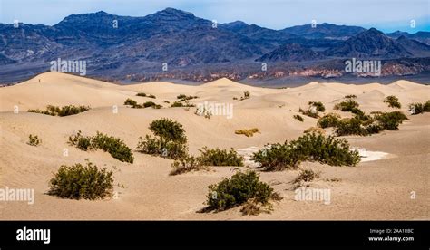 death valley sand dunes Stock Photo - Alamy