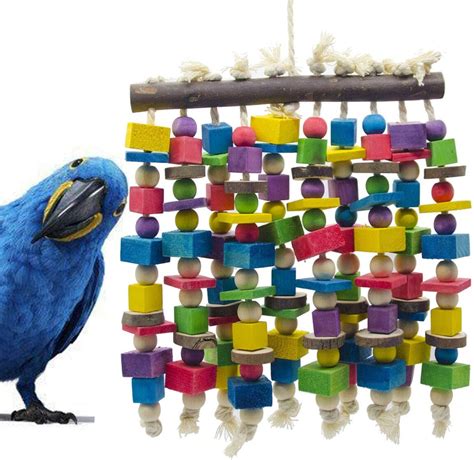 10 Best Toys To Keep Your Parrot Entertained Daily - Pawsify