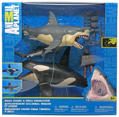 Sea Shark Encounter title scrapbook page die cut