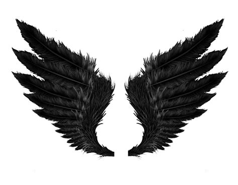 Black Angel Wings transparent PNG - StickPNG