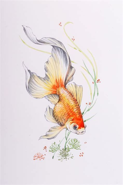 Resultado de imagen para golden fish tattoo | Koi art, Goldfish ...