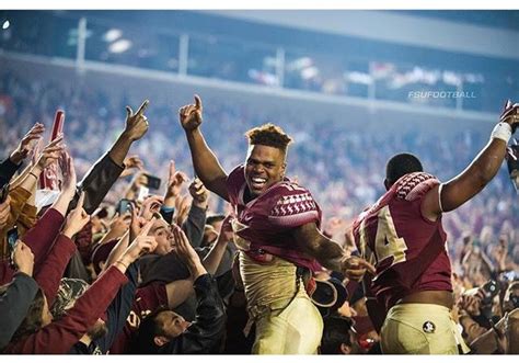 FSU vs UF - 2016 | Fsu vs uf, Fsu, Noles