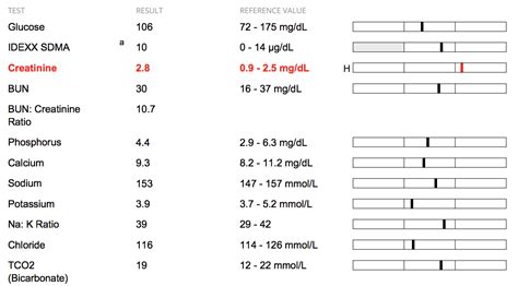 Help Interpreting Blood Test: Normal Bun And Sdma, But High Creatinine ...