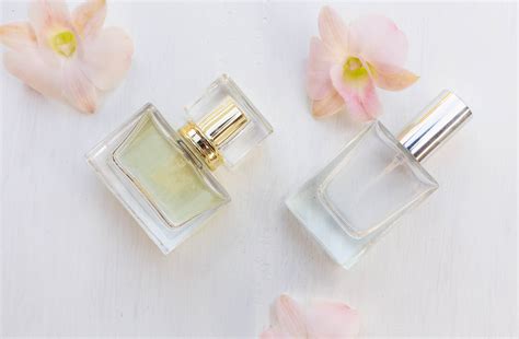 Fresh Perfume Scents for Her That Smell Divine All Day Long