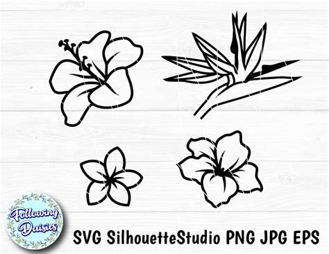 TROPICAL FLOWERS SVG, Floral, Summer, Jungle, Nature, Hawaiian Tropical ...