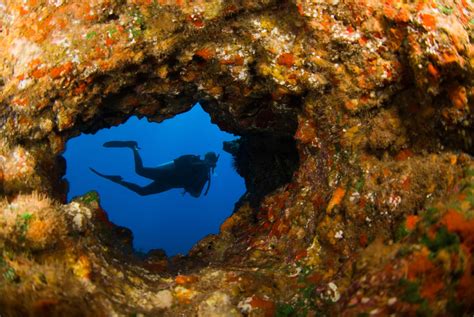 Diving in lava tubes in Hawaii: will you dare to do it?