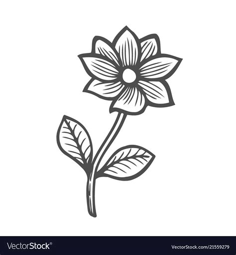 Black and white flower Royalty Free Vector Image