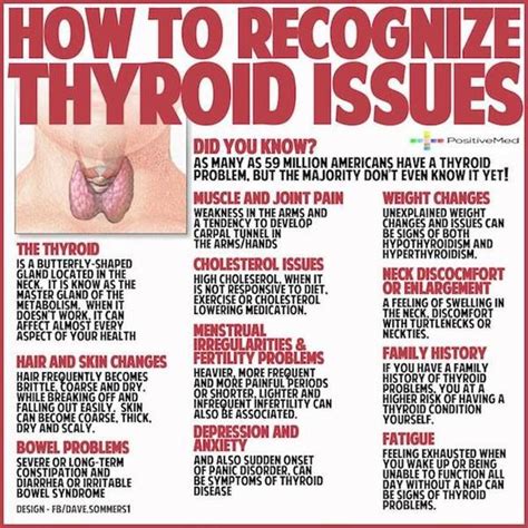 Thyroid Symptoms In Women / 11 signs and symptoms of thyroid problems in women - Having low ...