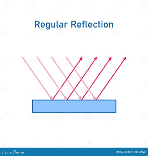 Regular Reflection of Light Diagram. Stock Illustration - Illustration ...