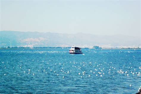 Kunming Dianchi Lake Scenery with Birds and Cruise - Easy Tour China