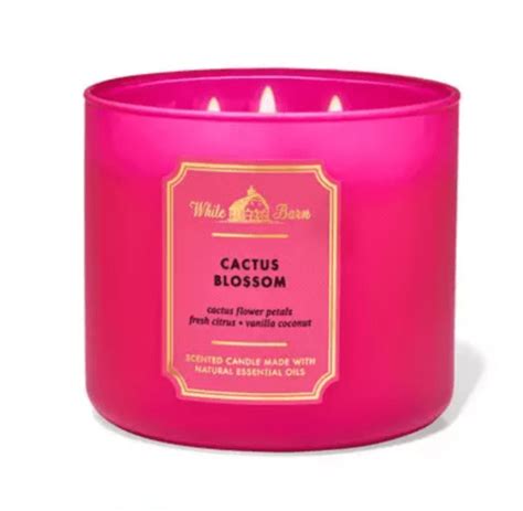 Bath and Body works candles - town-green.com