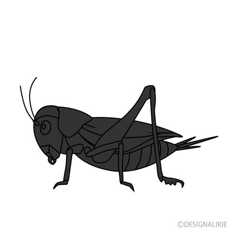 Cricket Silhouette Free PNG Image｜Illustoon