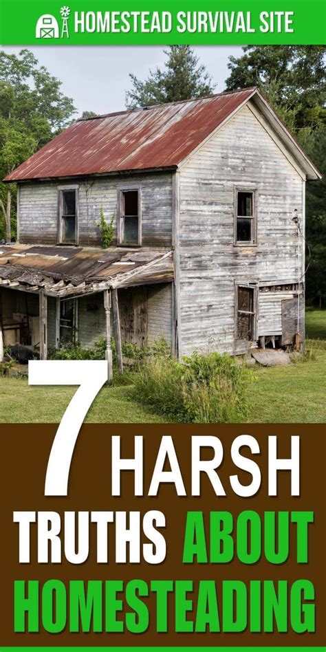 7 Harsh Truths About Homesteading | Homestead survival, Homesteading ...