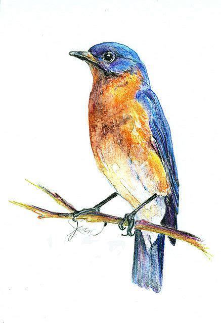 Photo Sharing! | Watercolor bird, Bird art, Watercolor