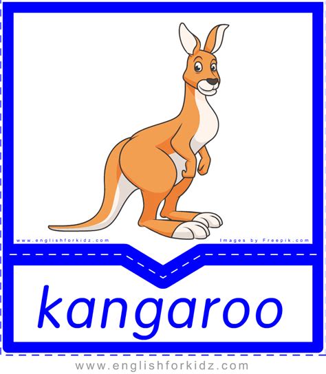 Printable Australian Animals Flashcards