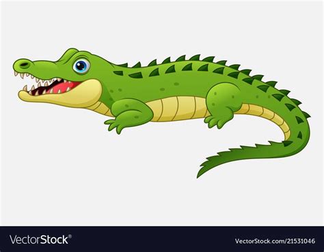 Illustration of Cartoon crocodile isolated on white background. Download a Free Preview or High ...