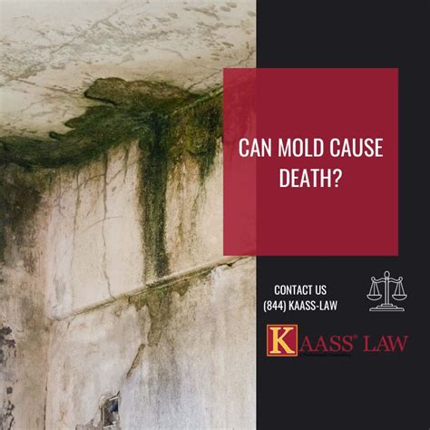 Can Mold Poisoning Cause Death? - KAASS LAW