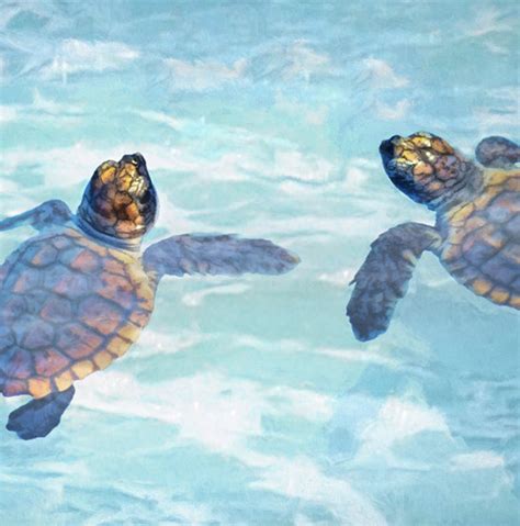 Sea Turtle Hatchlings Baby Sea Turtle Painting Sea Turtle - Etsy